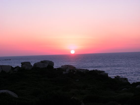 foto 0 Mietobjekt von Privatpersonen Santa Teresa di Gallura appartement Sardinien Olbia Tempio (+ Umland) Ausblick von der Terrasse