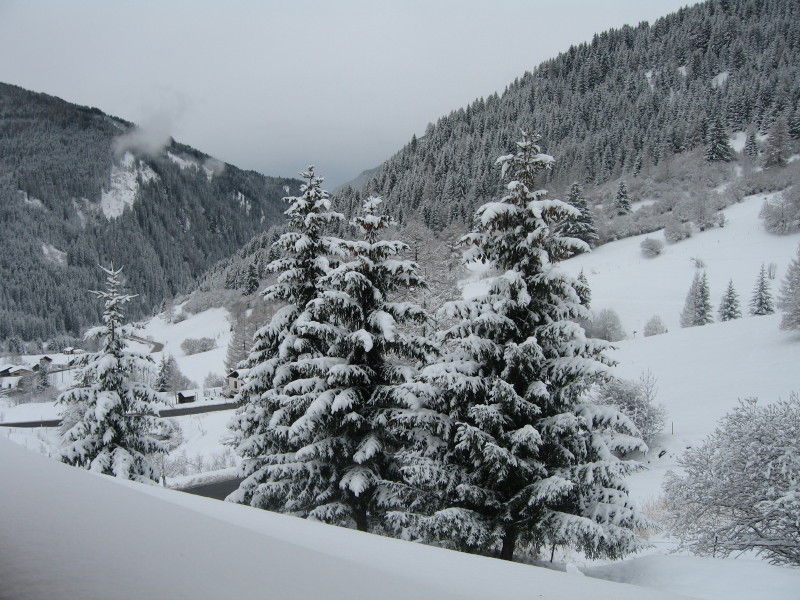 foto 28 Mietobjekt von Privatpersonen Predazzo appartement Trentino-Sdtirol Trient (+Umland) Ausblick aus der Ferienunterkunft