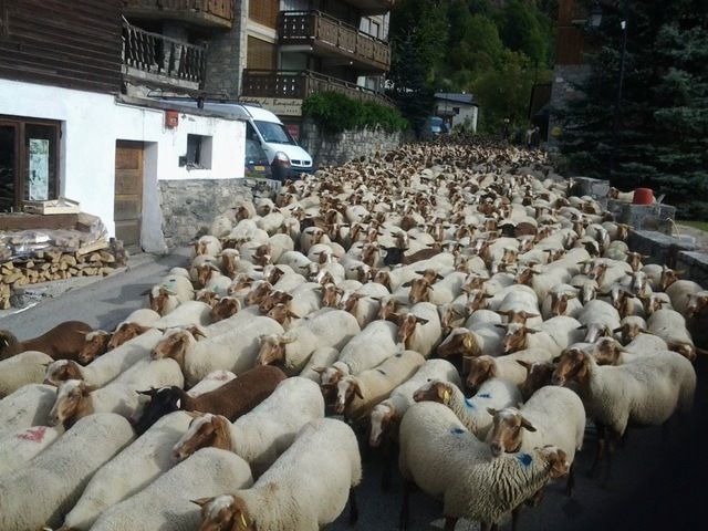 foto 20 Mietobjekt von Privatpersonen Champagny en Vanoise appartement Rhne-Alpes Savoyen