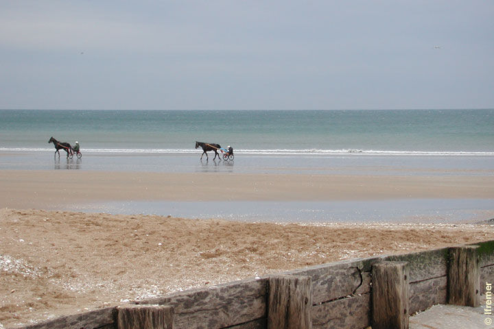 foto 15 Mietobjekt von Privatpersonen Cabourg appartement Basse-Normandie Calva Ausblick aus der Ferienunterkunft