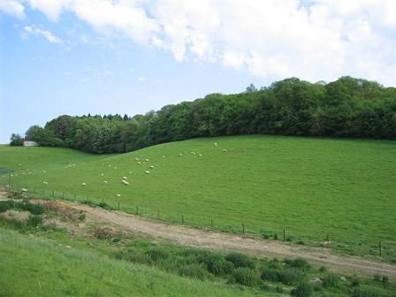 foto 12 Mietobjekt von Privatpersonen Chimay gite Hennegau  Ausblick aus der Ferienunterkunft