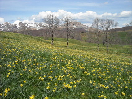 foto 3 Mietobjekt von Privatpersonen Besse - Super Besse studio Auvergne Puy-de-Dme