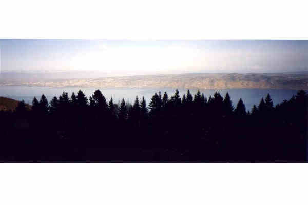 foto 1 Mietobjekt von Privatpersonen Thollon Les Mmises appartement Rhne-Alpes Haute-Savoie Ausblick von der Terrasse