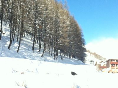 foto 9 Mietobjekt von Privatpersonen La Foux d'Allos studio Provence-Alpes-Cte d'Azur Alpes de Haute-Provence andere