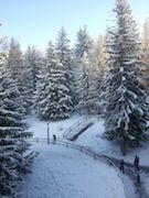 foto 8 Mietobjekt von Privatpersonen Les Arcs appartement Rhne-Alpes Savoyen Ausblick aus der Ferienunterkunft