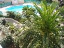 foto 11 Mietobjekt von Privatpersonen Cap d'Agde appartement Languedoc-Roussillon Hrault Ausblick vom Balkon