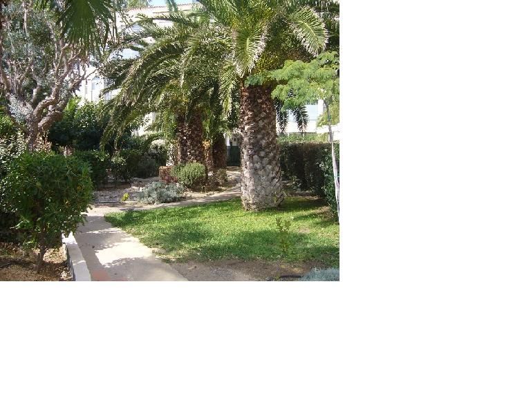 foto 12 Mietobjekt von Privatpersonen Cap d'Agde appartement Languedoc-Roussillon Hrault Garten