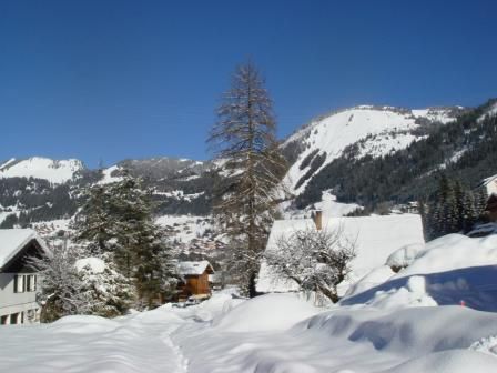 foto 17 Mietobjekt von Privatpersonen Chtel chalet Rhne-Alpes Haute-Savoie Ausblick von der Terrasse