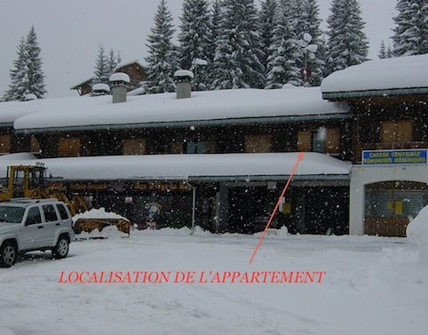 foto 12 Mietobjekt von Privatpersonen Praz de Lys Sommand appartement Rhne-Alpes Haute-Savoie Ansicht des Objektes