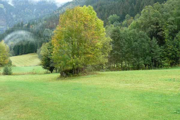 foto 18 Mietobjekt von Privatpersonen Chtel appartement Rhne-Alpes Haute-Savoie Ausblick aus der Ferienunterkunft