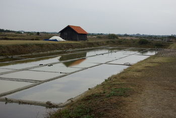 foto 11 Mietobjekt von Privatpersonen Saint Hilaire de Riez maison Pays de la Loire Vende andere