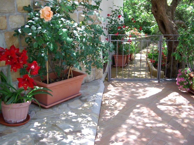 foto 21 Mietobjekt von Privatpersonen Capo d'Orlando villa Sizilien Messina (+Umland) Garten