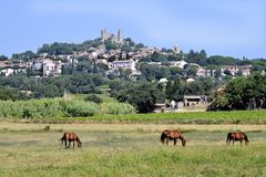 foto 27 Mietobjekt von Privatpersonen Cogolin appartement Provence-Alpes-Cte d'Azur Var andere