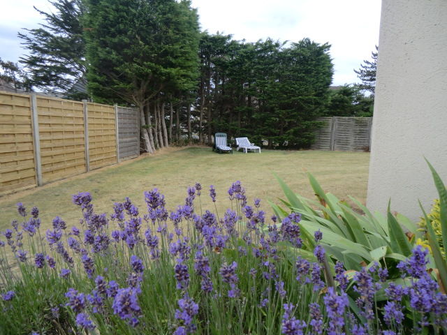 foto 0 Mietobjekt von Privatpersonen Granville maison Basse-Normandie Manche Garten