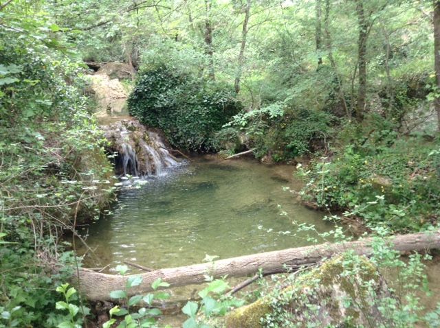 foto 9 Mietobjekt von Privatpersonen La Tour d'Aigues gite Provence-Alpes-Cte d'Azur Vaucluse Ansicht des Objektes