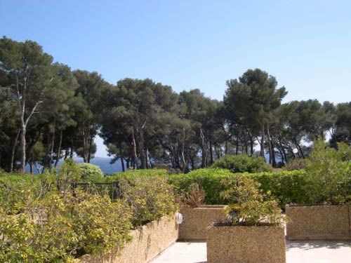foto 3 Mietobjekt von Privatpersonen Bandol appartement Provence-Alpes-Cte d'Azur Var Ausblick von der Terrasse