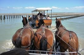 foto 19 Mietobjekt von Privatpersonen Gouville sur Mer gite Basse-Normandie Manche Strand