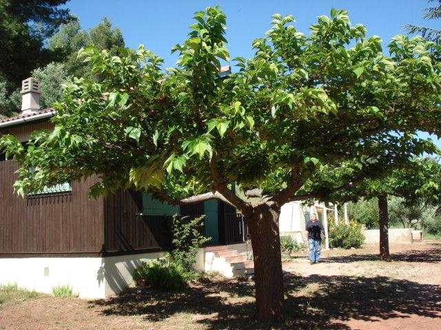 foto 3 Mietobjekt von Privatpersonen Puget-Ville maison Provence-Alpes-Cte d'Azur Var