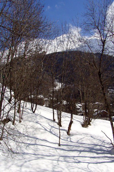 foto 13 Mietobjekt von Privatpersonen Courmayeur appartement Aostatal Aosta (+Umland) Ausblick vom Balkon