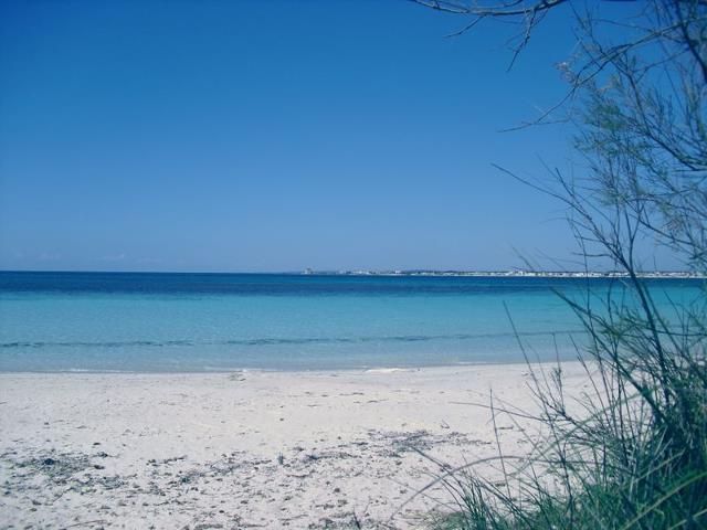 foto 18 Mietobjekt von Privatpersonen Porto Cesareo villa Apulien Lecce (+Umland) Strand