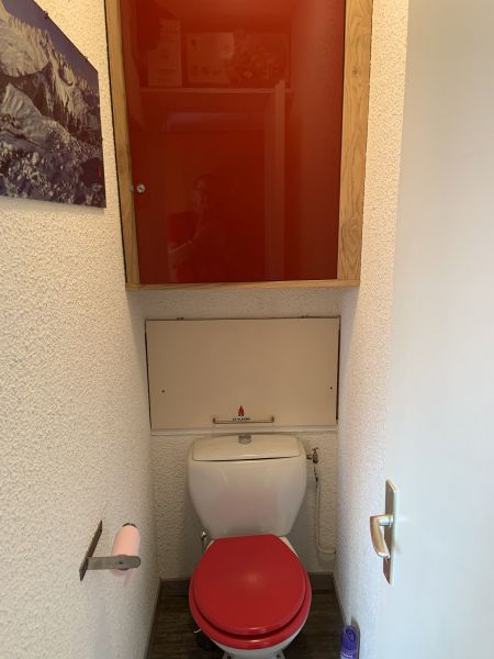foto 16 Mietobjekt von Privatpersonen La Plagne appartement Rhne-Alpes Savoyen separates WC