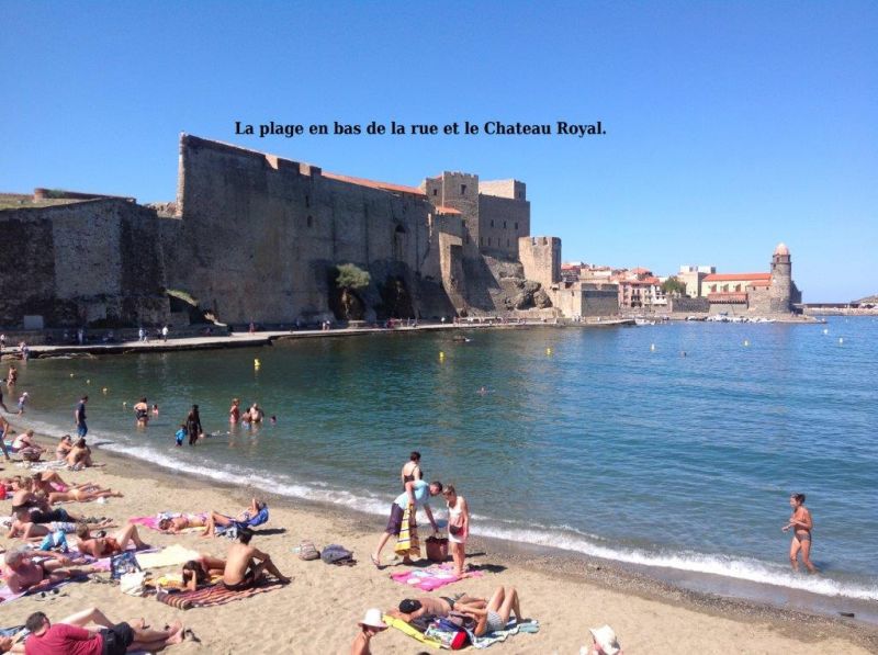 foto 9 Mietobjekt von Privatpersonen Collioure appartement Languedoc-Roussillon Pyrenen (Mittelmeer) Strand