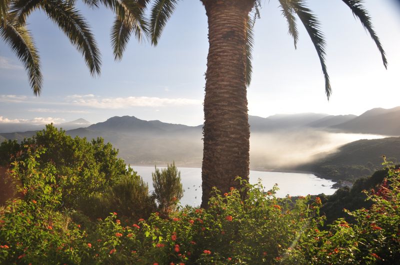 foto 9 Mietobjekt von Privatpersonen Ajaccio villa Korsika Corse du Sud Ausblick aus der Ferienunterkunft