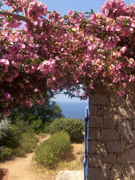 foto 10 Mietobjekt von Privatpersonen Ajaccio villa Korsika Corse du Sud Ansicht des Objektes