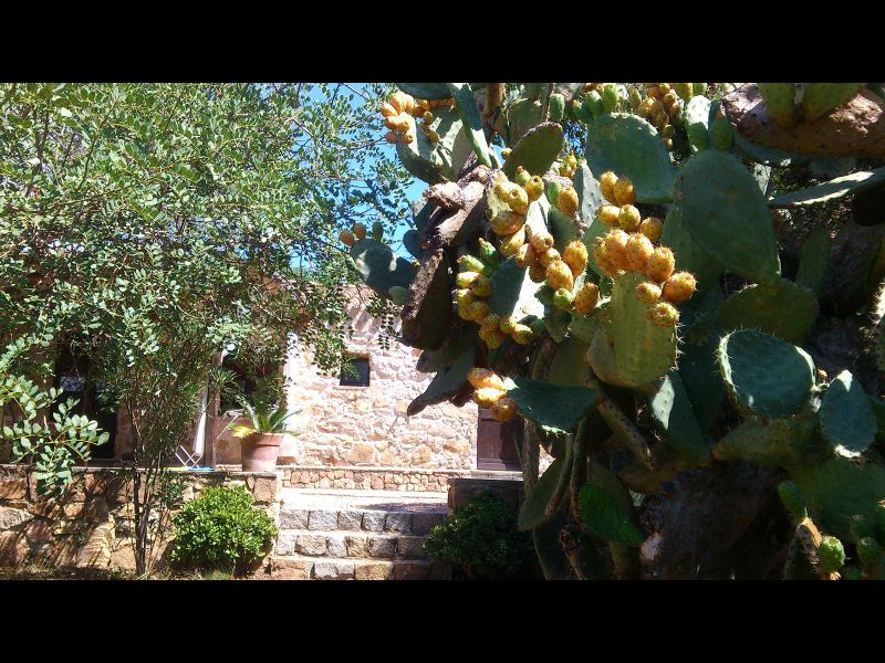 foto 2 Mietobjekt von Privatpersonen Santa Maria Navarrese villa Sardinien Ogliastra (+Umland)