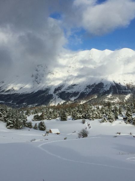 foto 21 Mietobjekt von Privatpersonen La joue du Loup appartement Provence-Alpes-Cte d'Azur Hautes-Alpes Nahaufnahme