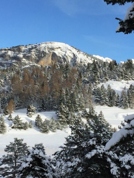 foto 22 Mietobjekt von Privatpersonen La joue du Loup appartement Provence-Alpes-Cte d'Azur Hautes-Alpes Nahaufnahme