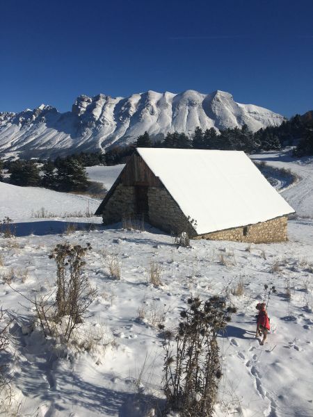 foto 23 Mietobjekt von Privatpersonen La joue du Loup appartement Provence-Alpes-Cte d'Azur Hautes-Alpes Nahaufnahme