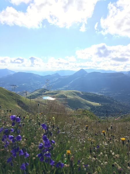 foto 21 Mietobjekt von Privatpersonen Le Lioran studio Auvergne Cantal Nahaufnahme