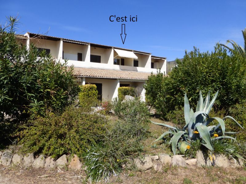 foto 14 Mietobjekt von Privatpersonen Sagone appartement Korsika Corse du Sud Garten