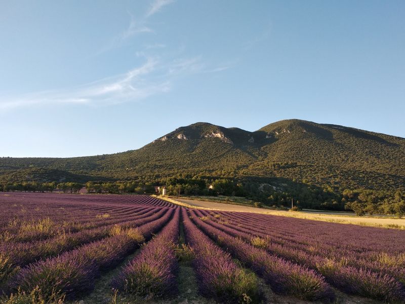 foto 12 Mietobjekt von Privatpersonen Apt villa Provence-Alpes-Cte d'Azur Vaucluse Nahaufnahme
