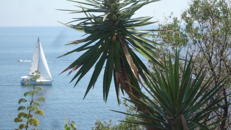 foto 16 Mietobjekt von Privatpersonen Solenzara appartement Korsika Corse du Sud andere