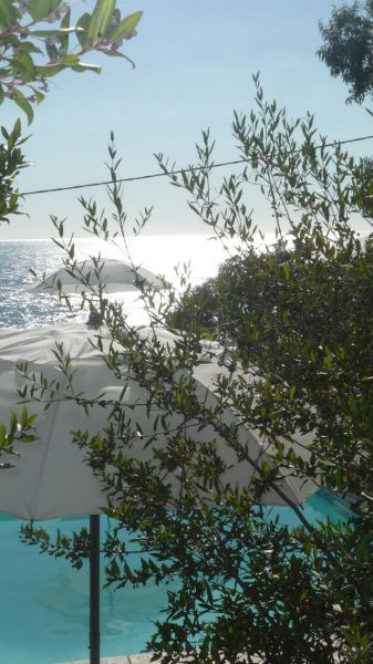 foto 24 Mietobjekt von Privatpersonen Solenzara appartement Korsika Corse du Sud Schwimmbad
