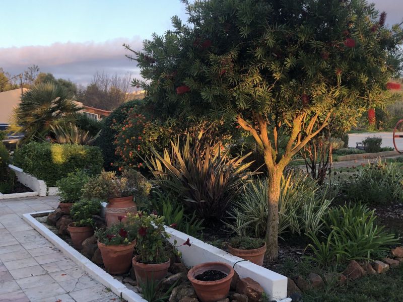 foto 24 Mietobjekt von Privatpersonen Lagos gite Algarve  Garten