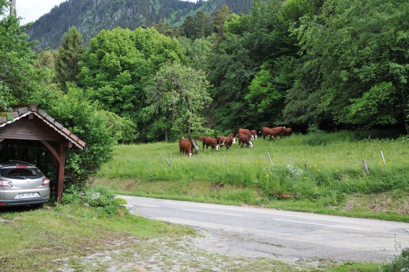 foto 22 Mietobjekt von Privatpersonen Thollon Les Mmises maison Rhne-Alpes Haute-Savoie