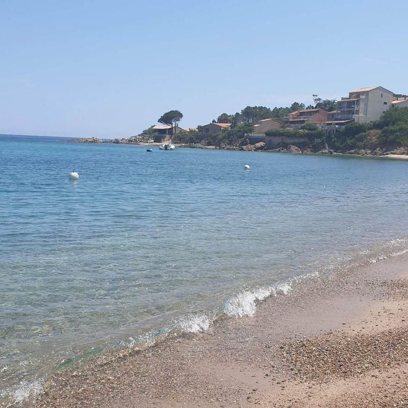 foto 2 Mietobjekt von Privatpersonen Conca appartement Korsika Corse du Sud Strand