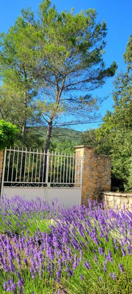 foto 23 Mietobjekt von Privatpersonen Rocbaron gite Provence-Alpes-Cte d'Azur Var