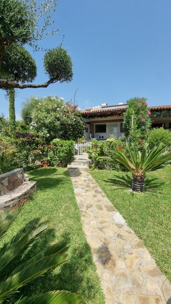 foto 11 Mietobjekt von Privatpersonen Marina di Camerota villa Kampanien Salerno (Umland)