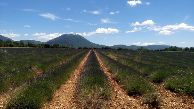 foto 18 Mietobjekt von Privatpersonen Artignosc-sur-Verdon maison Provence-Alpes-Cte d'Azur Var