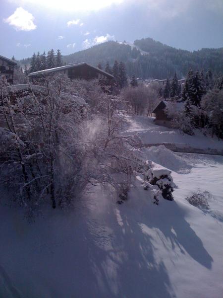 foto 1 Mietobjekt von Privatpersonen Les Gets appartement Rhne-Alpes Haute-Savoie Ausblick vom Balkon