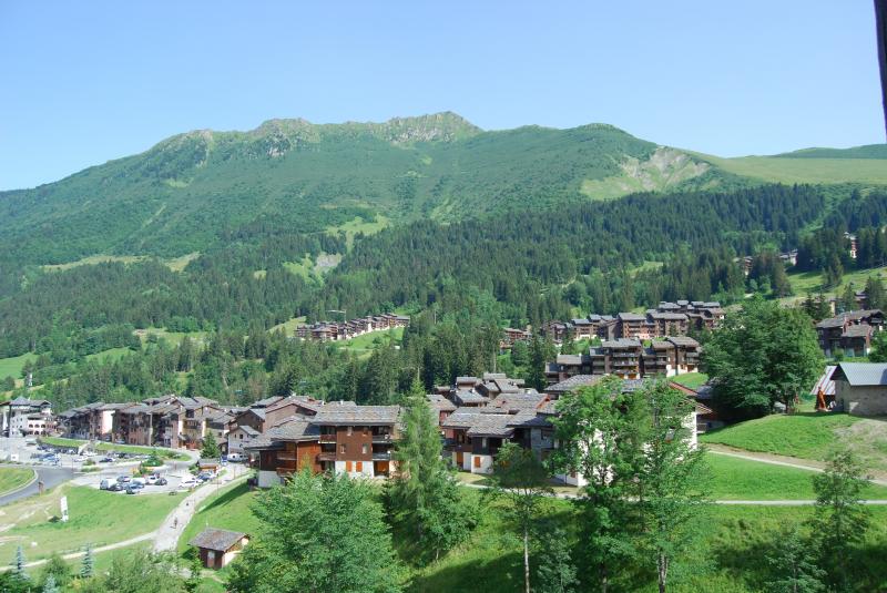 foto 8 Mietobjekt von Privatpersonen Motiers appartement Rhne-Alpes Savoyen Ausblick von der Terrasse