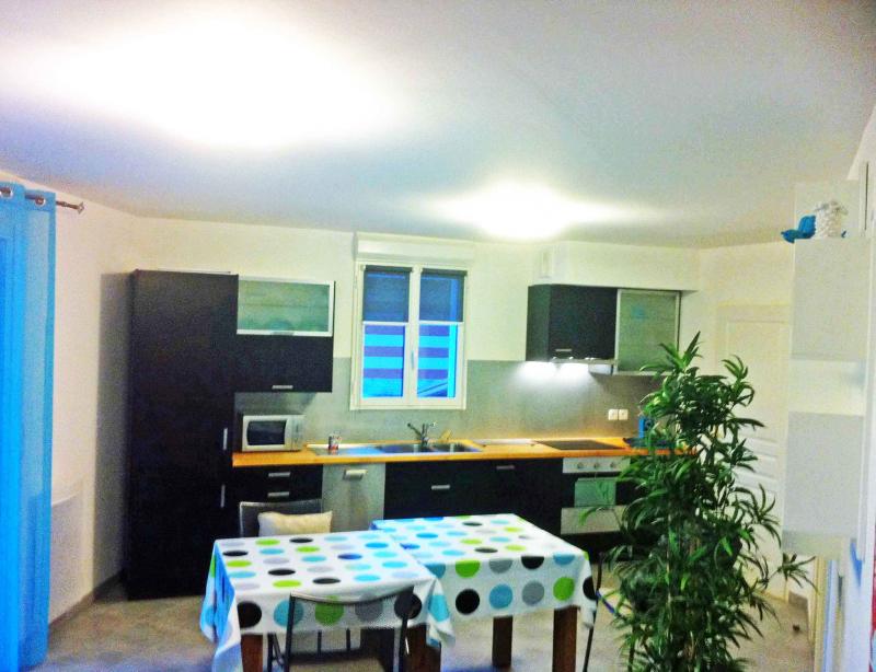 foto 4 Mietobjekt von Privatpersonen Arcachon appartement Aquitanien Gironde