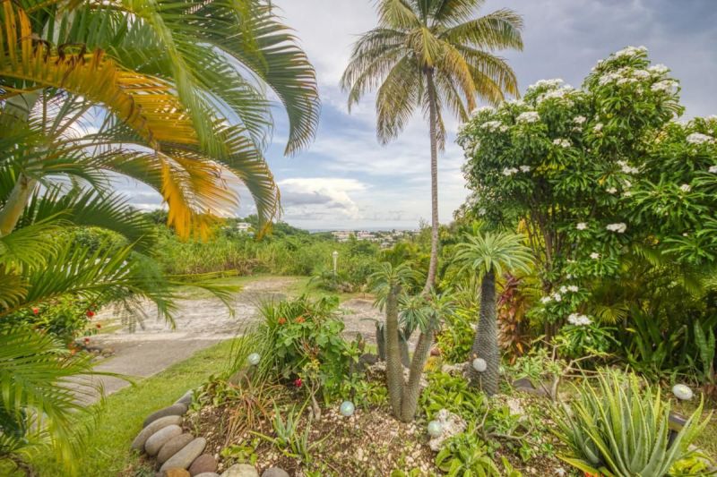 foto 7 Mietobjekt von Privatpersonen Le Gosier (Guadeloupe) villa Grande Terre  Garten