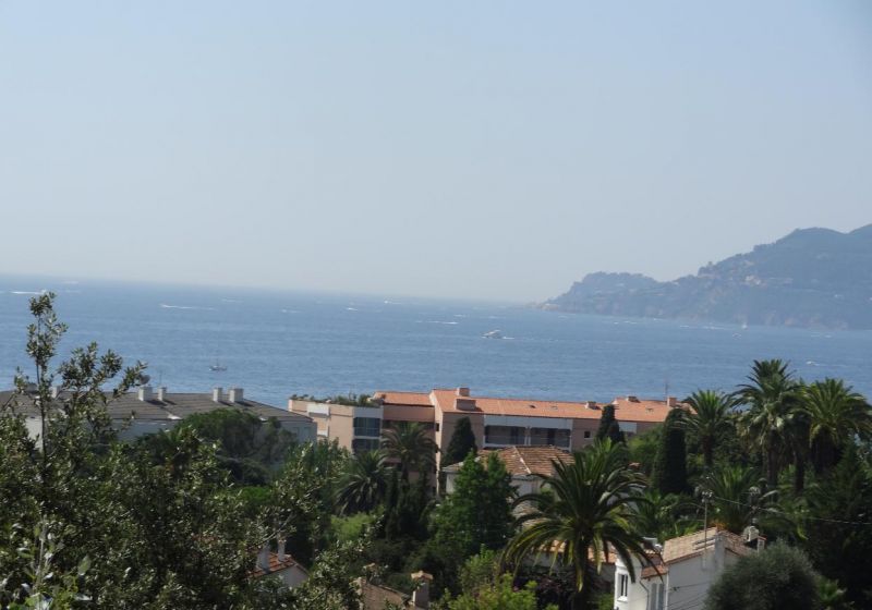 foto 0 Mietobjekt von Privatpersonen Cannes appartement Provence-Alpes-Cte d'Azur Alpes-Maritimes Ausblick von der Terrasse