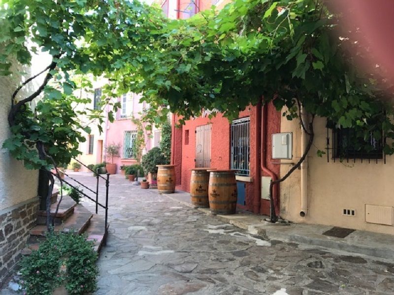 foto 1 Mietobjekt von Privatpersonen Collioure studio Languedoc-Roussillon Pyrenen (Mittelmeer) Ausblick aus der Ferienunterkunft