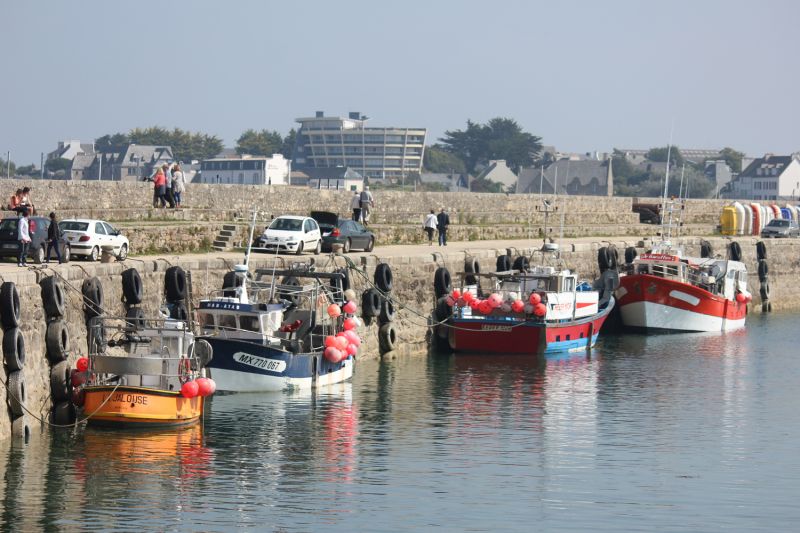 foto 1 Mietobjekt von Privatpersonen Roscoff studio Bretagne Finistre Nahaufnahme